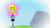1 FLOWER