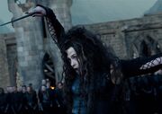Bellatrix nouvelle baguette
