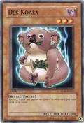 Des koala