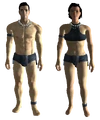 Human.png