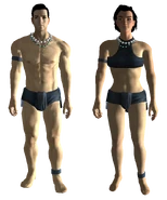 Human