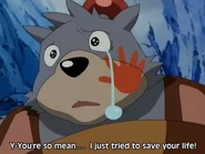 Bear Bomber3