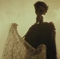 Ignotus Cloak.jpg