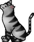 20111020180502!Bumblestripe.warrior.png
