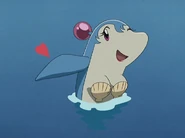 Dolphin Bomber3