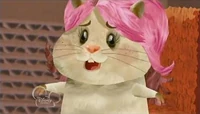 Pamela Hamster