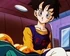 Videl 4