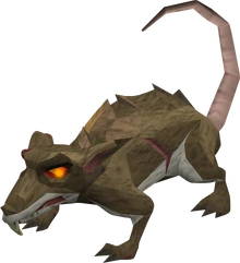 Warped Rat