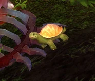 ChildofTortEON