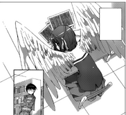 Shiori's wing