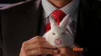 EvilBunny