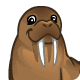 Walrus-icon.png
