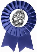 Detective Ribbon 2