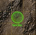 8kratekGecko.jpg