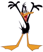 Duck