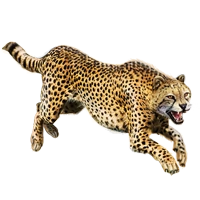Huge item cheetah 01.png