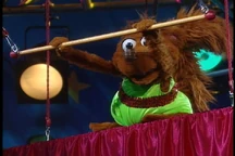 The Squirrel on the Flying Trapeze