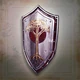 Remnant Shield