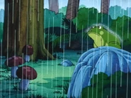DFrog