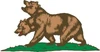 NCRlogo CROPPED