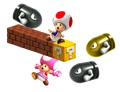 Toad&ToadetteBulletBillsSME.png