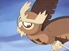 EP225 Noctowl