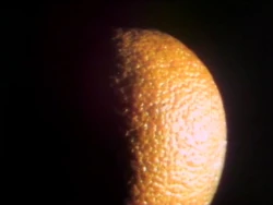 0056.Fruit1.jpg
