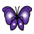 Vampire Butterfly