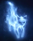 Patronus Cat2.jpg