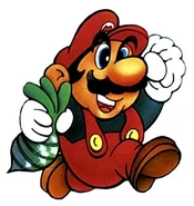 Mario SMB2-2