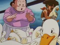 17Ducks