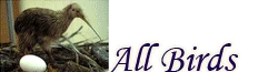 This wiki is dedicated to Shadow and Dexie the cockatiels, RIP