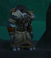 EarthenRingShaman