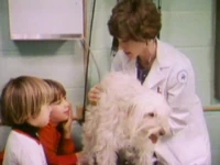Animaldoctor.jpg