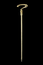 Riddler original cane