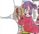 Bulmahairbruash