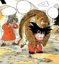 Gokuholdingturtle