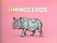 Rhino Limerick.JPG