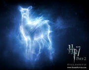 My patronus