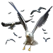Flock of Seagulls