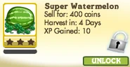 Super Watermelon Locked