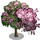 French Tamarisk-icon