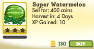 Super Watermelon Unlocked