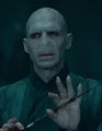 VoldDHP2Scene.jpg