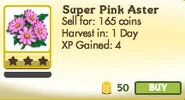 Pink Aster Unlocked