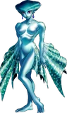 Ruto adulta