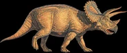 Triceratopspic