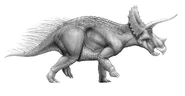 Triceratopsius