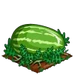 Super Watermelon extra100
