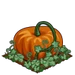 Super Pumpkin 100